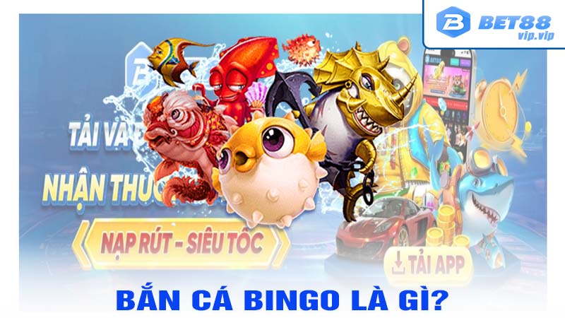 Bắn Cá Bingo Là Gì?