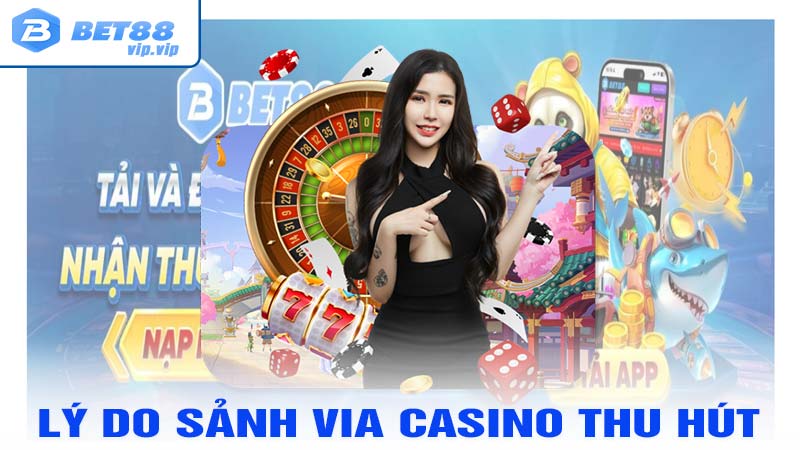 Lý do sảnh Via casino thu hút bet thủ tại bet88