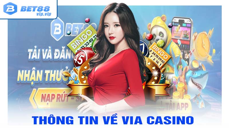 Thông tin khái quát về sảnh Via casino